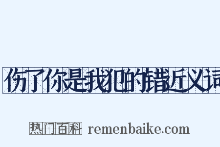 伤了你是我犯的错近义词是什么意思的图片
